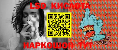 прущие грибы Ирбит