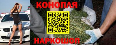 прущие грибы Ирбит