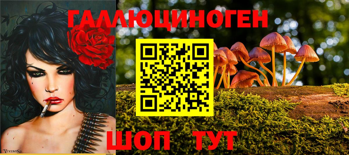 Галлюциногенные грибы Psilocybe Лысьва